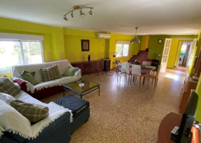 Sol De Otono En Valencia * Moncada