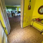 Sol De Otono En Valencia *