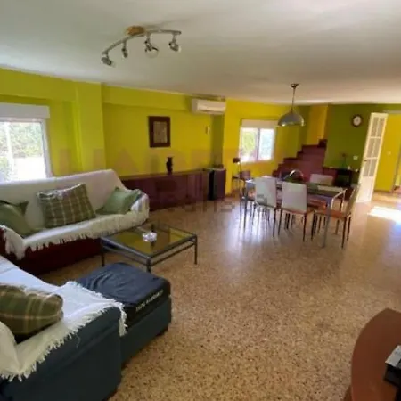 Sol De Otono En Valencia * Moncada