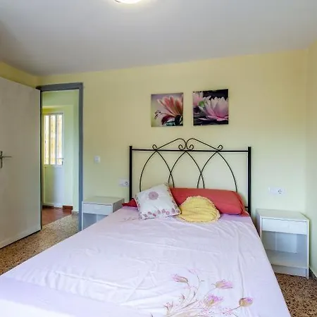 Sol De Otono En Valencia *